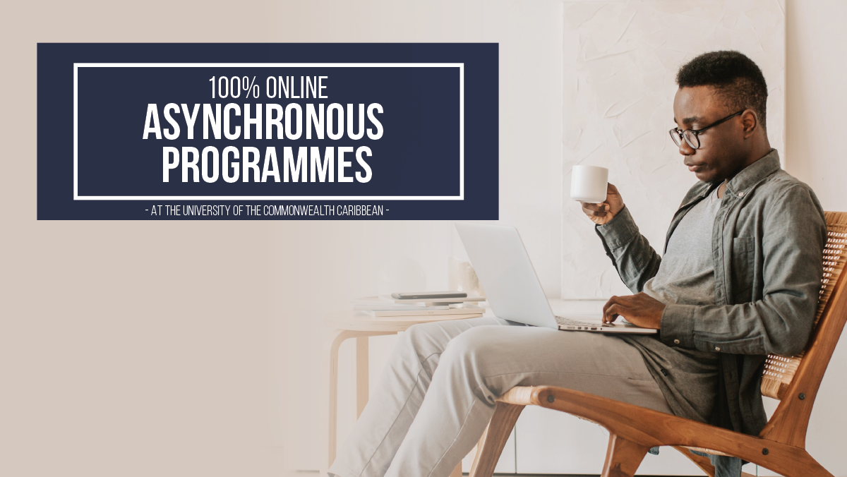 Asynchronous Programmes